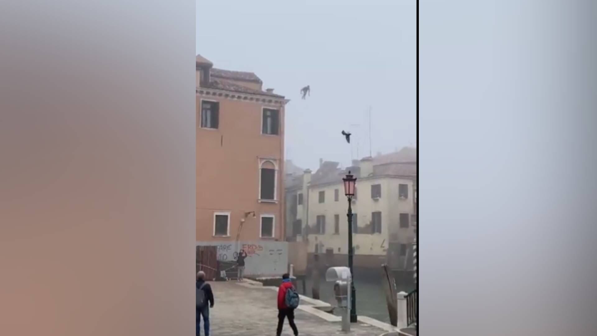 Imagen compartida desde @LuigiBrugnaro