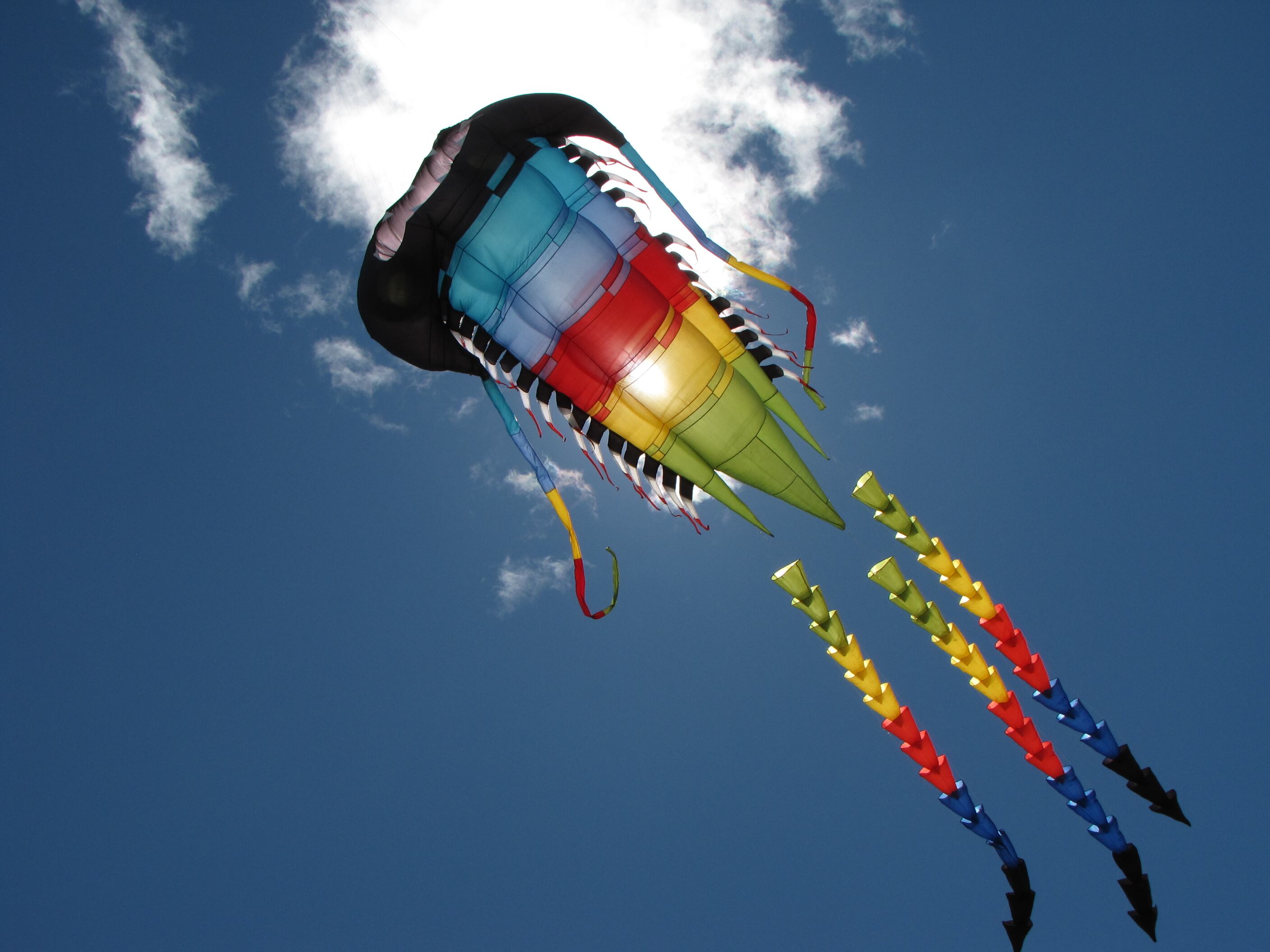 El Parque el Tunal, el Embalse del Neusa,  Tominé y el Simón Bolívar eran los lugares de encuentro favoritos del grupo cuando iniciaban.