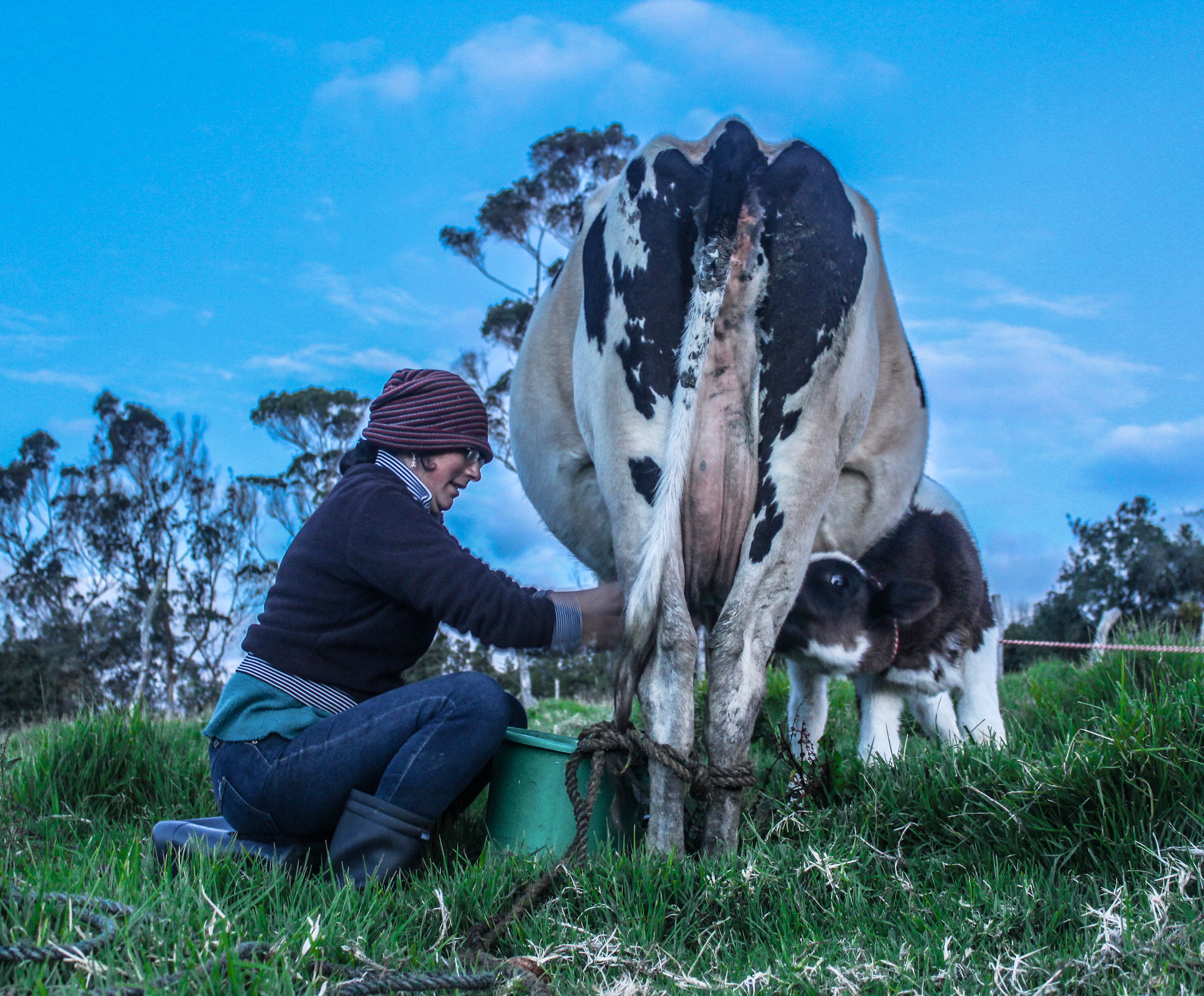 Las mujeres campesinas registran bajos niveles de empleo remunerado, pues muchas se dedican a cuidar a sus familias y a atender sus fincas.