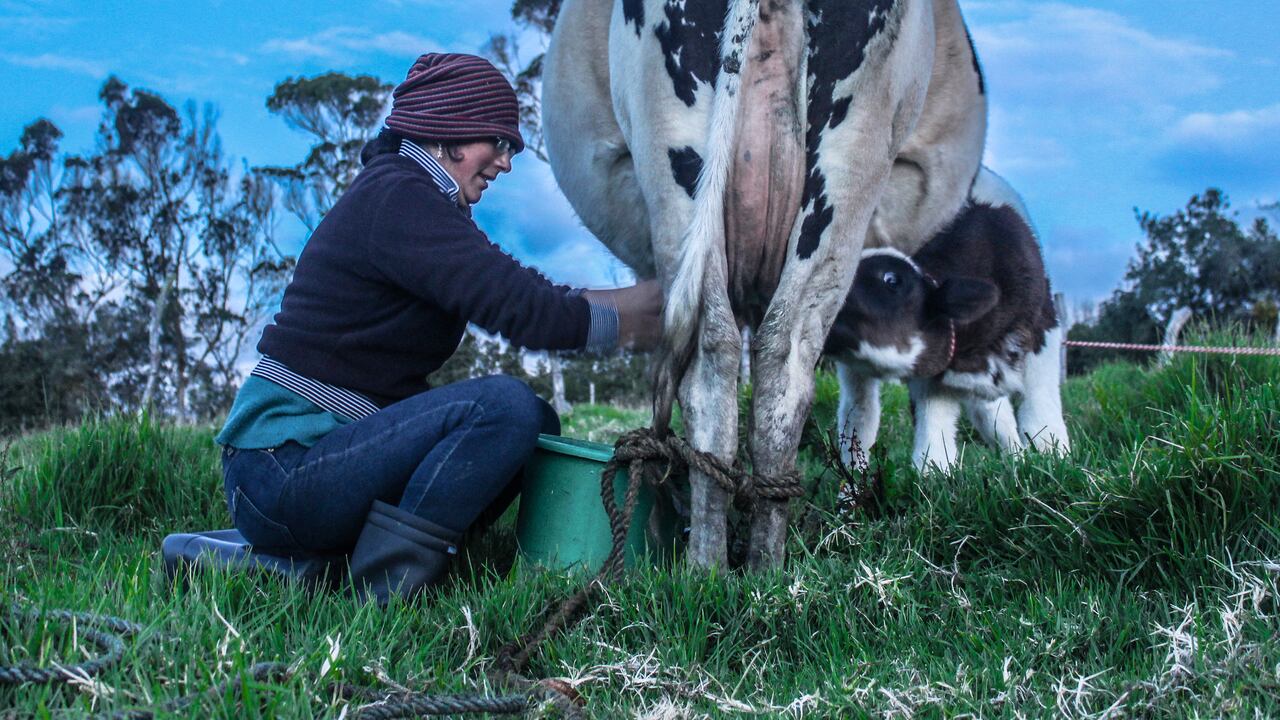 Las mujeres campesinas registran bajos niveles de empleo remunerado, pues muchas se dedican a cuidar a sus familias y a atender sus fincas.