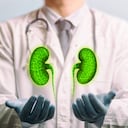 De su funcionamiento depende los nervios, los músculos y los tejidos. Foto: Getty Images.