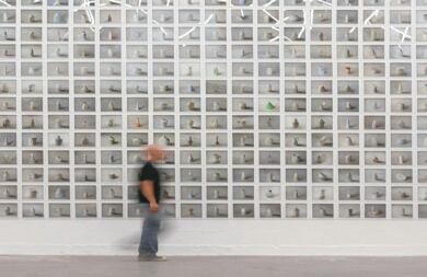 Tipología: este es uno de los proyectos individuales que expondrá  el artista salvadoreño Walterio Iraheta.