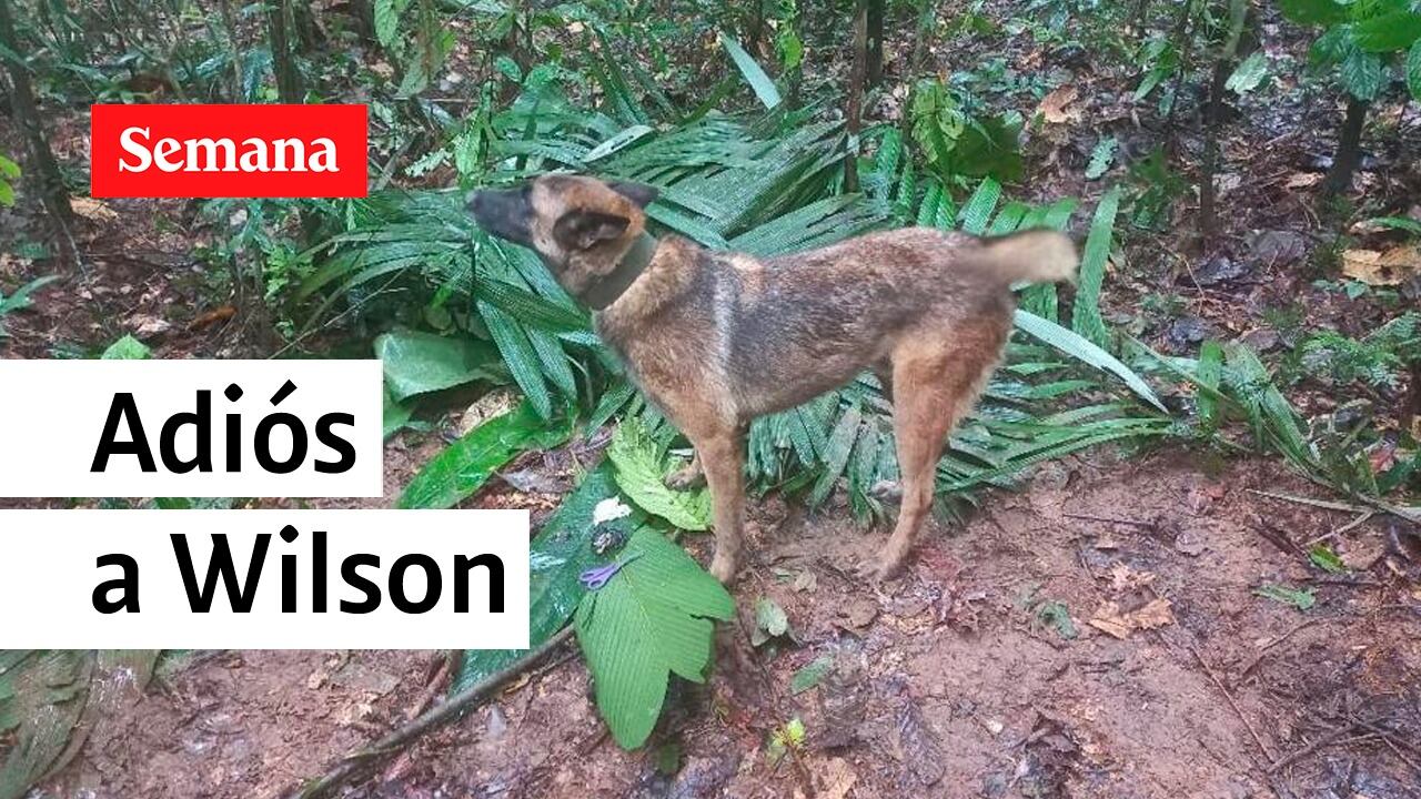 Mala noticia: Fuerzas Militares reconocen que es imposible encontrar a Wilson
