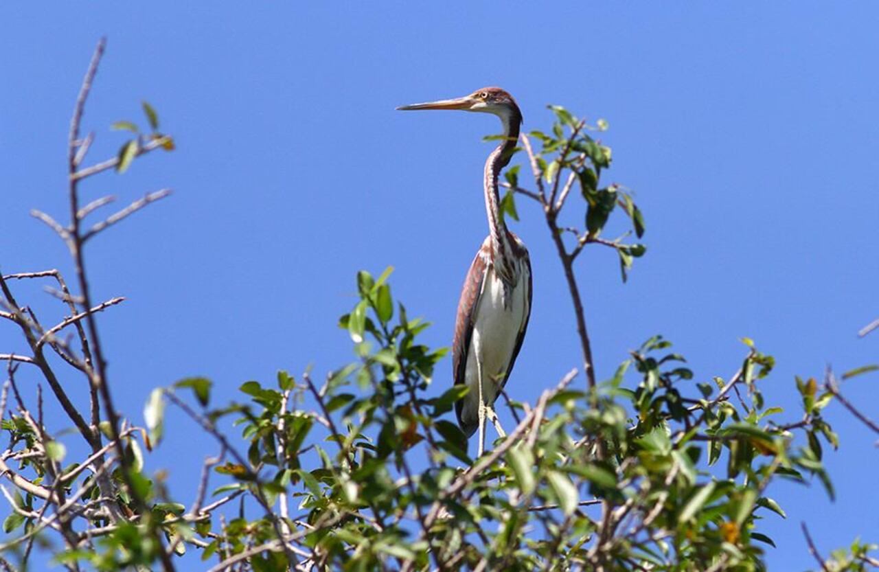 San Antero, Córdoba