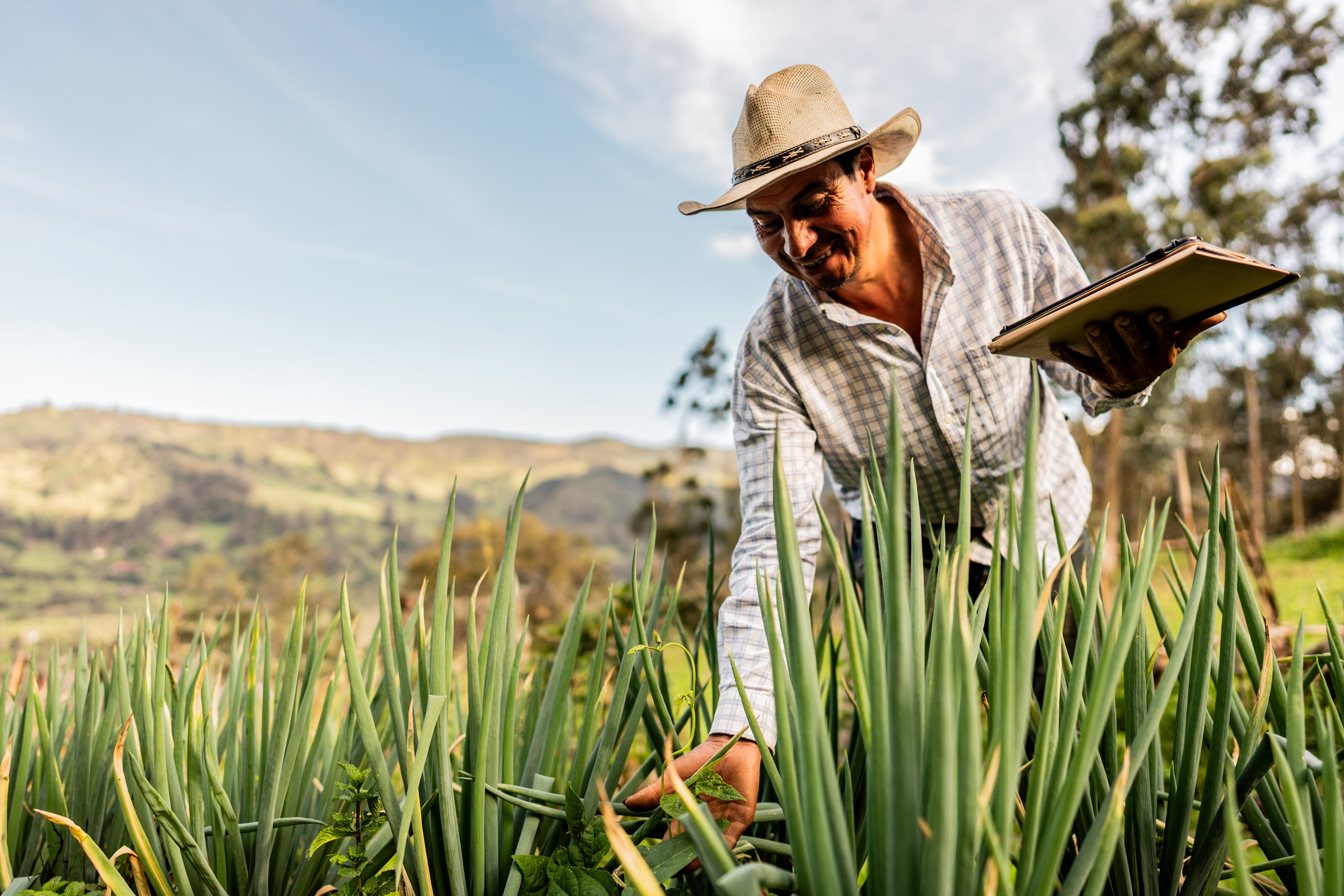 El campo es clave para la economía.