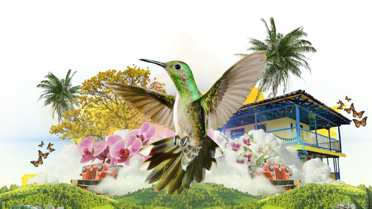 Quindío: una experiencia que la vives desde el corazón