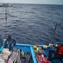 Dos toneladas de pesca ilegal y 17 peces en vía de extinción fueron incautadas por la Armada en aguas del Pacífico. Tres ciudadanos ecuatorianos fueron capturados y llevados al puerto de Buenaventura. Foto Jorge Orozco/ El Pais