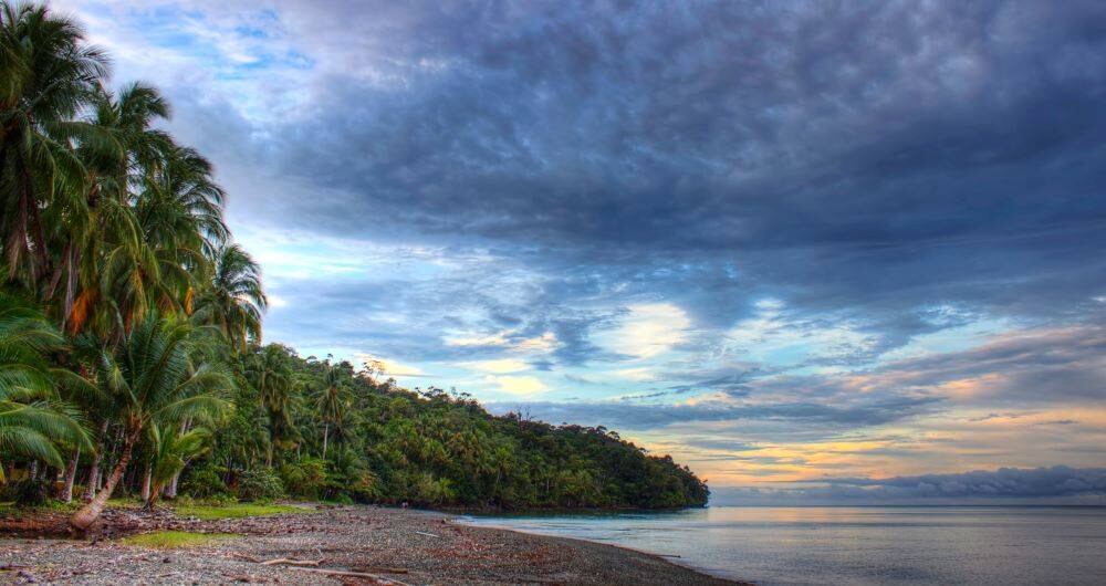 Gorgona. La isla está ubicada en el Parque Nacional Natural Gorgona, al cual se puede llegar en avión o en barco, aunque el trayecto vía marítima puede ser algo largo. Allí se pueden hacer actividades como buceo o visitar dos de las playas reconocidas como las más lindas de Colombia que son Playa Blanca y Playa Palmeras. Foto: Getty Images. 