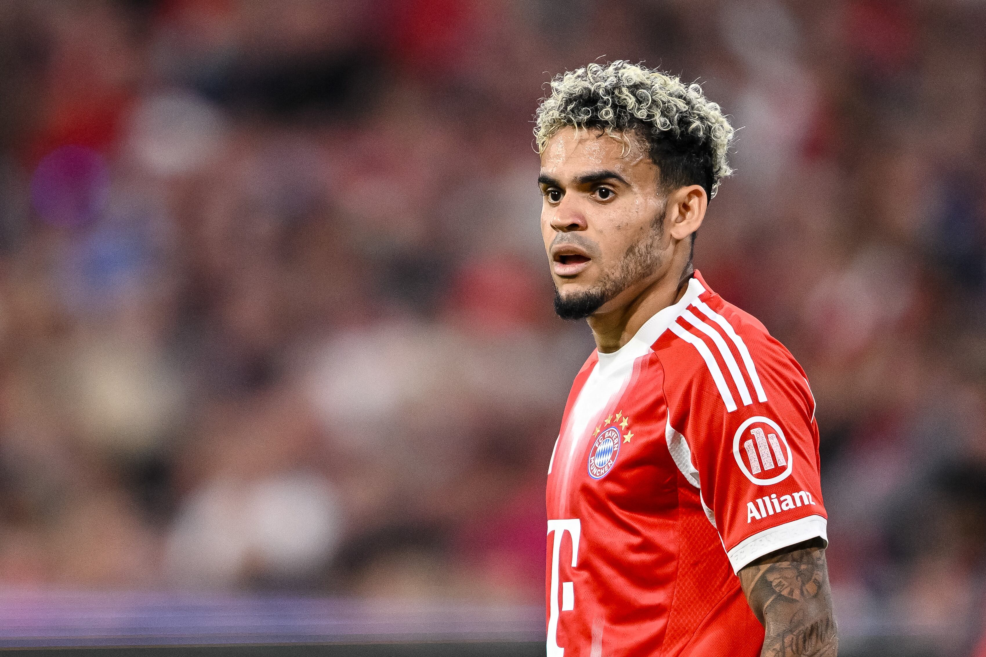 Munich, Germany - August 22: Luis Díaz of Bayern Muenchen looks on during the Bundesliga match between FC Bayern München and RB Leipzig at Allianz Arena on August 22, 2025 in Munich, Germany. (Photo by Harry Langer/DeFodi Images/DeFodi via Getty Images)
