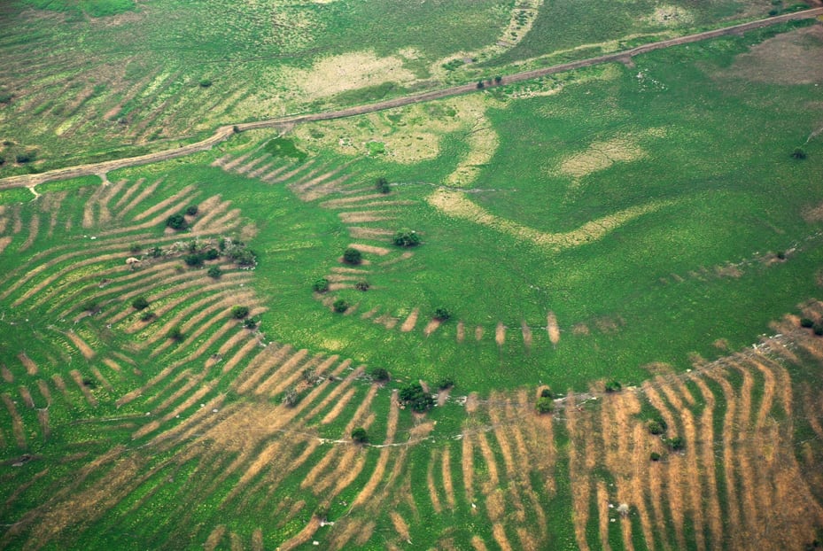 Los canales y campos elevados de La Mojana durante una sequía. Foto: Sebastián Schrimpff, cortesía del Museo del Oro, Banco de la República.