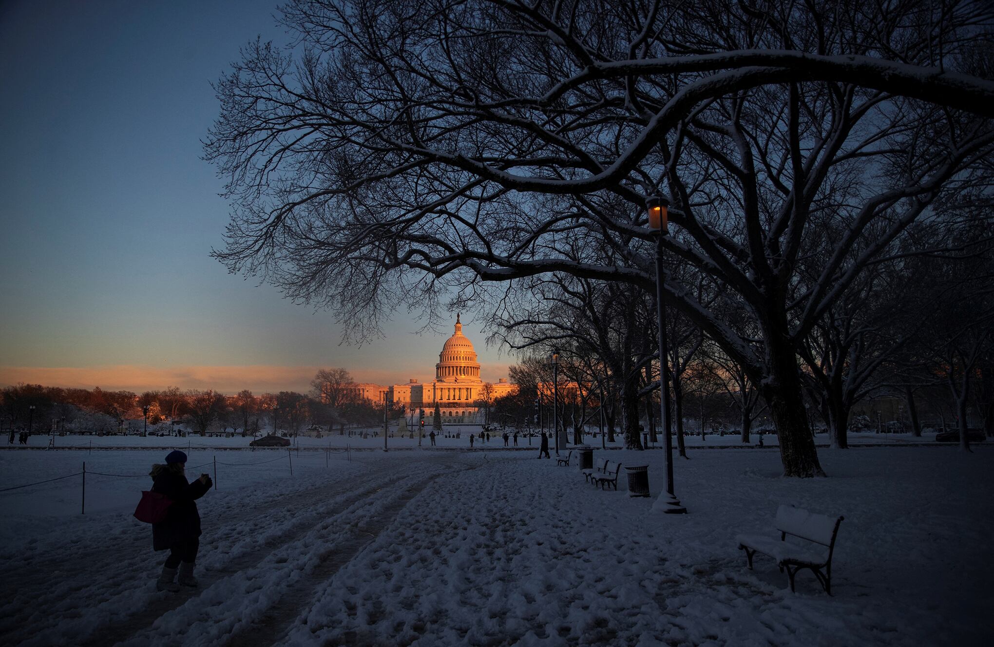 Washington se viste de blanco
