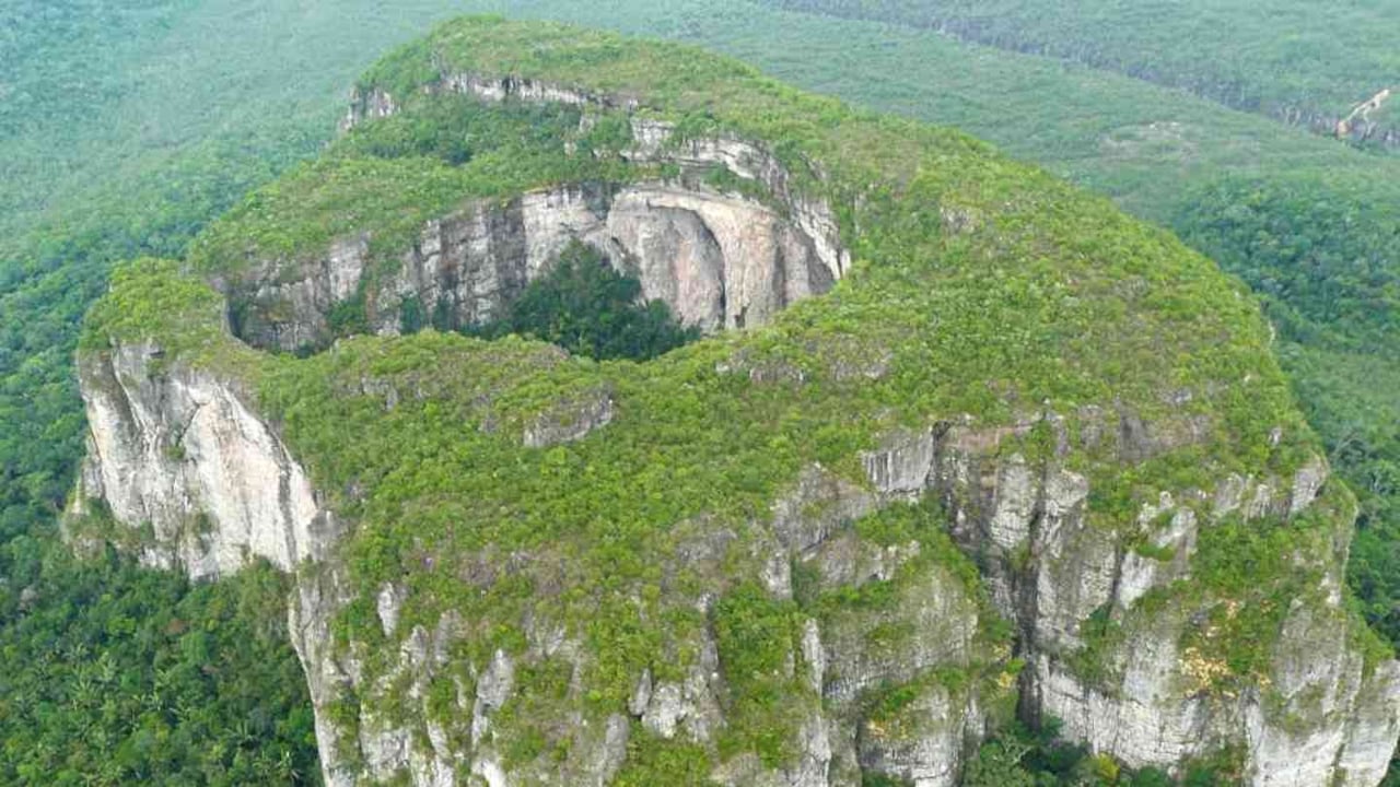 Una nueva expedición científica a la Serranía de Chiribiquete permitió identificar 960 animales y más de 328 especies de flora. Foto: archivo/Semana.