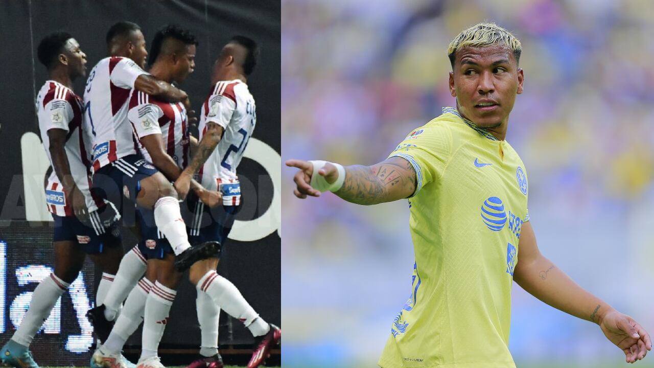 El conjunto tiburón parece haber superado la crisis.