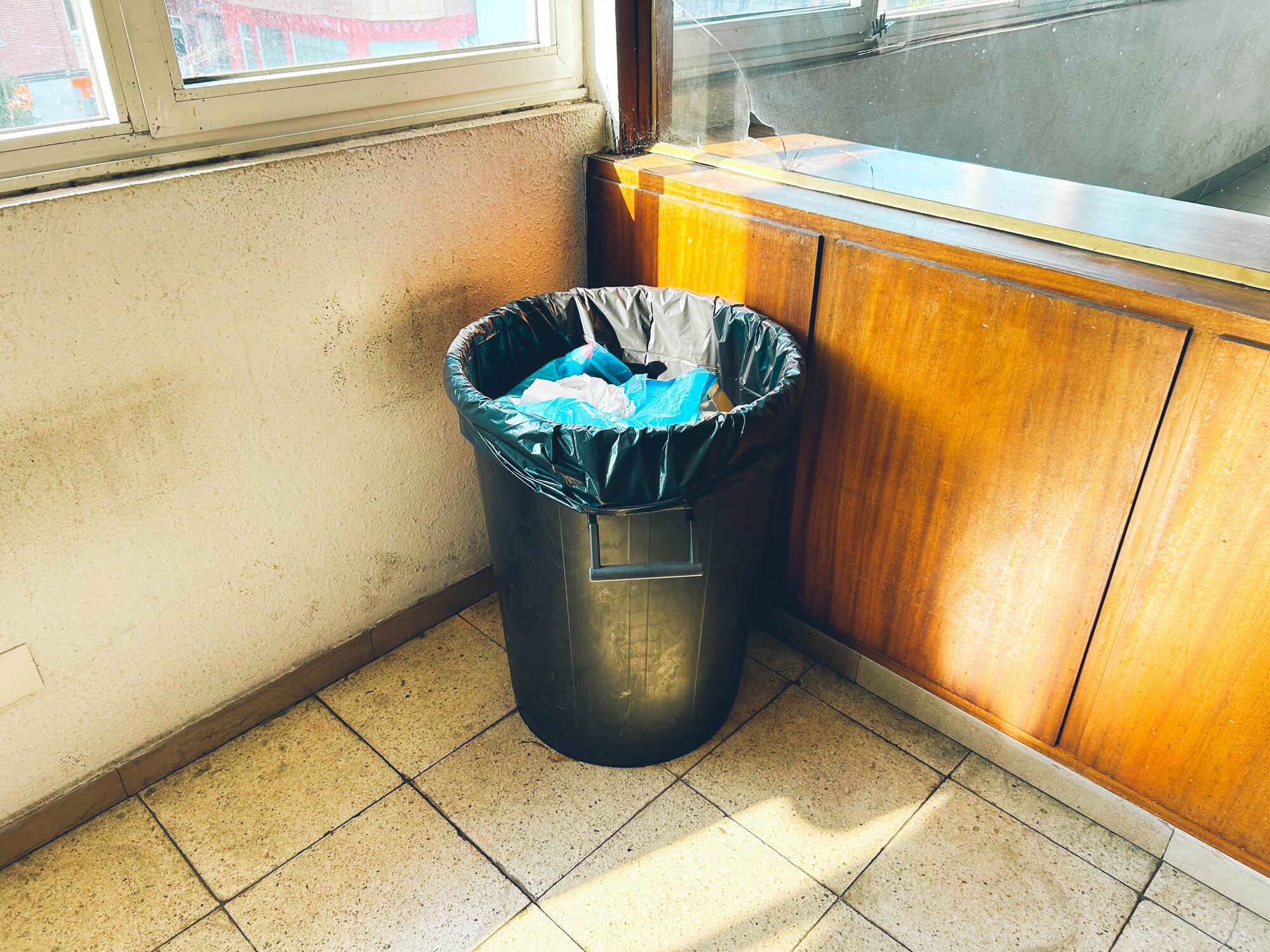 Este método natural y accesible proporciona una solución efectiva para mantener el entorno doméstico sin olores indeseables.