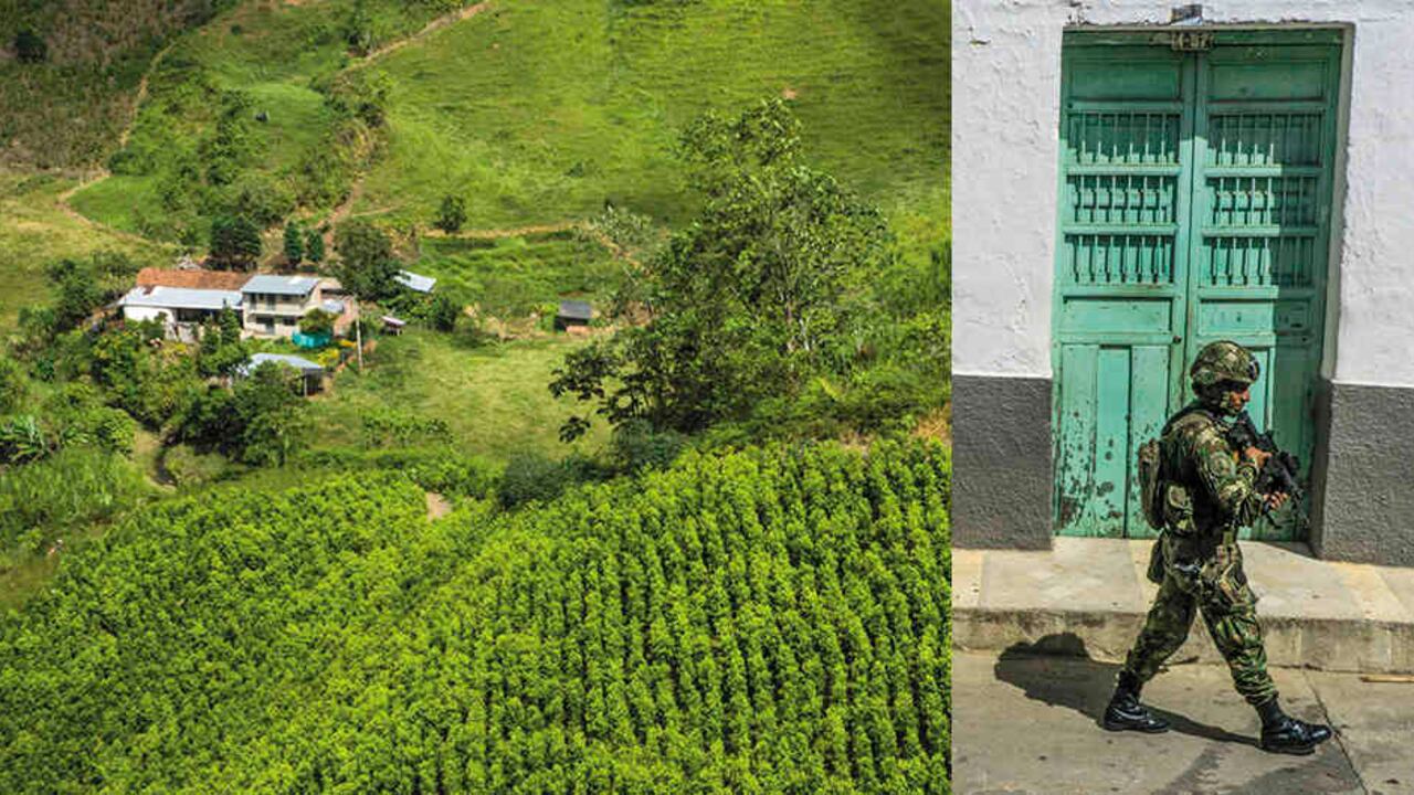 La coca mueve la economía de varios municipios de una región altamente militarizada.