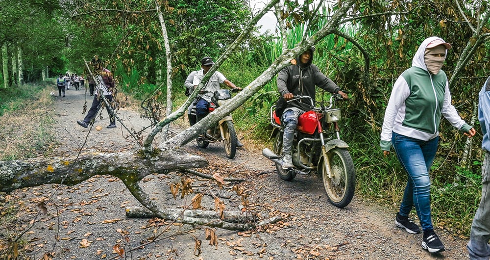 Invasiones de tierras en el Cauca.