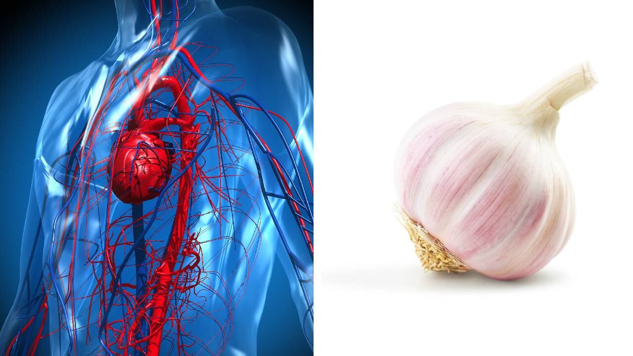 El ajo es un alimento rico en proteínas, yodo, fósforo, potasio, vitamina B6 y compuestos sulfurados. Foto: Getty images, montaje SEMANA.