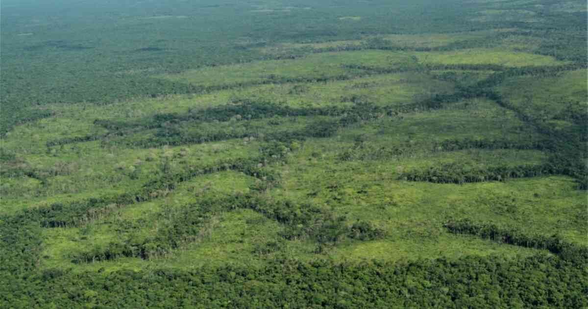 Deforestación en el nororiente del Parque Nacional Sierra de la Macarena. Foto: FCDS.