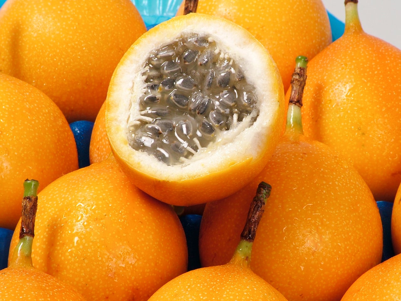 Qu Enfermedades Puede Curar La Granadilla El Pa s qu-enfermedades-puede-curar-la-granadilla-el-pa-s
