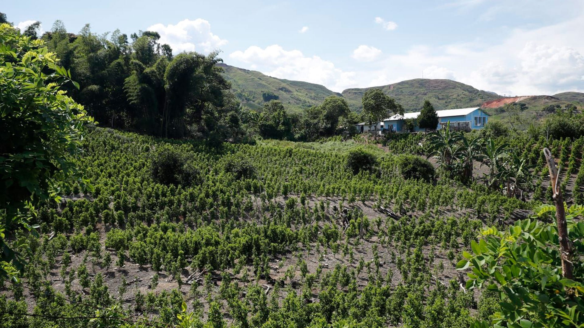 Francia no es profeta