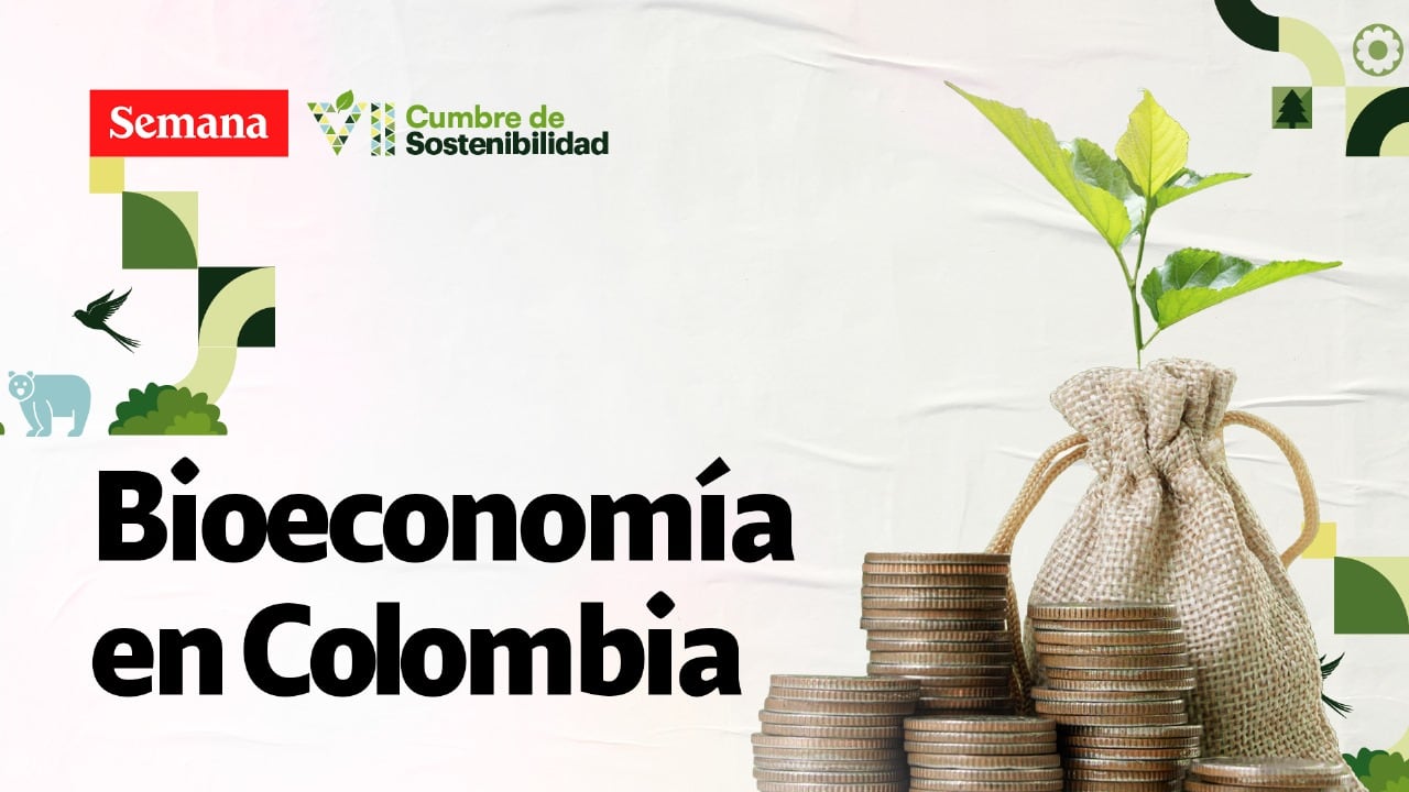 ¿Cuál es el potencial de la bioeconomía en Colombia?