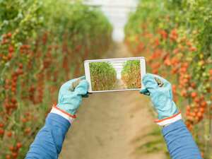 En 2018, el Dane calculó que sólo el 16,2 por ciento de los hogares en centros poblados y rurales dispersos tenían conexión a internet.