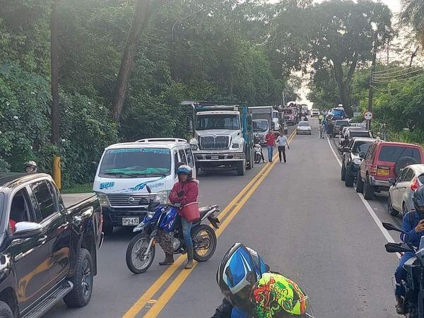 Se concentran en el sector de Los Troncos.
