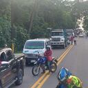 Se concentran en el sector de Los Troncos.