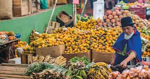 Foto Migeul Varona
Silvia Cauca