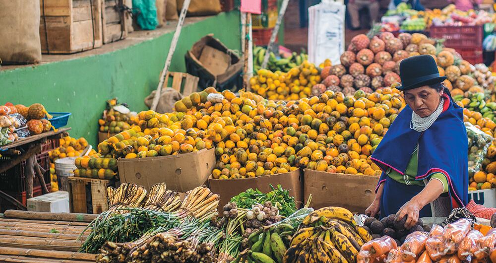 Del Valle y norte del Cauca llegan al mercado de Silvia frutas de la tierra cálida