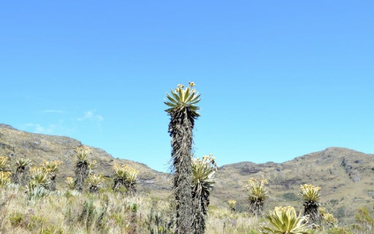Chiquiza, Boyacá.