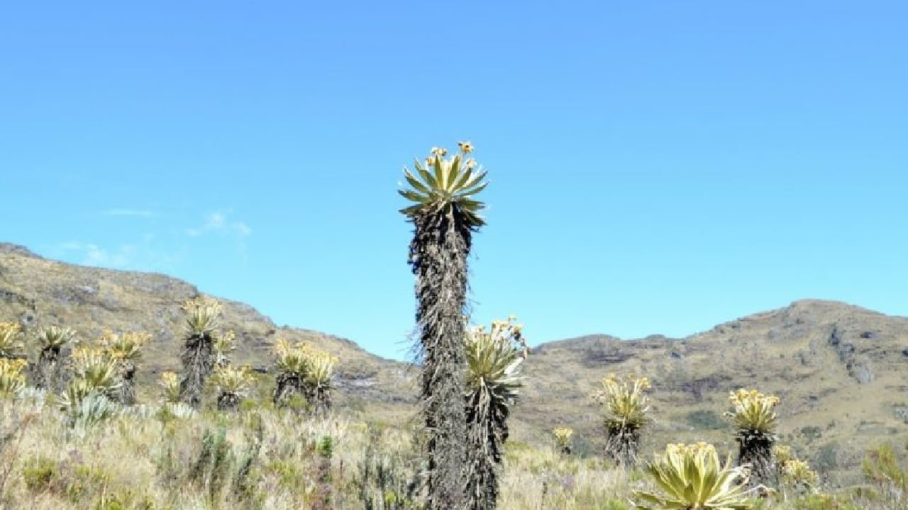 Chiquiza, Boyacá.