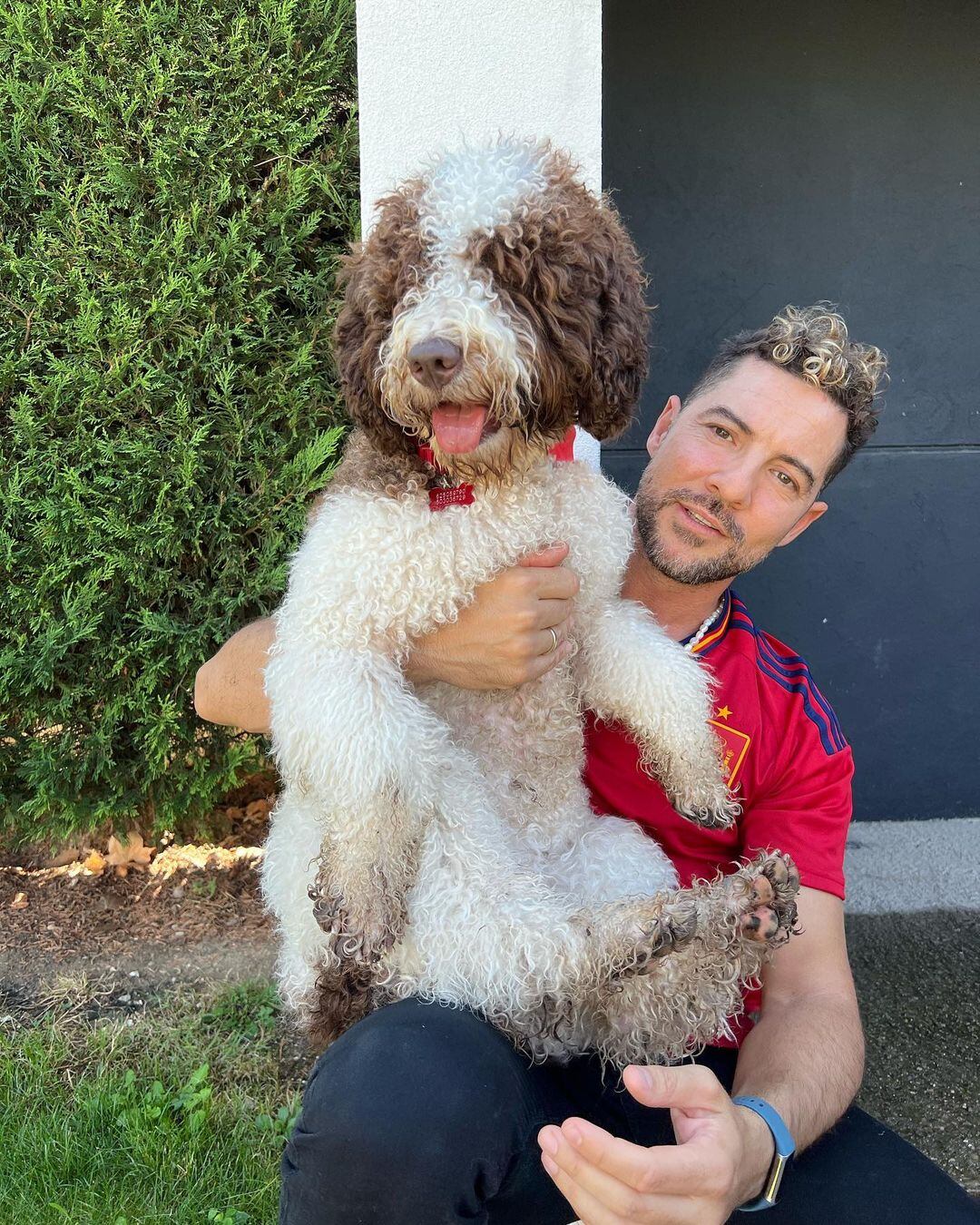 David Bisbal, jurado de La Voz Kids.