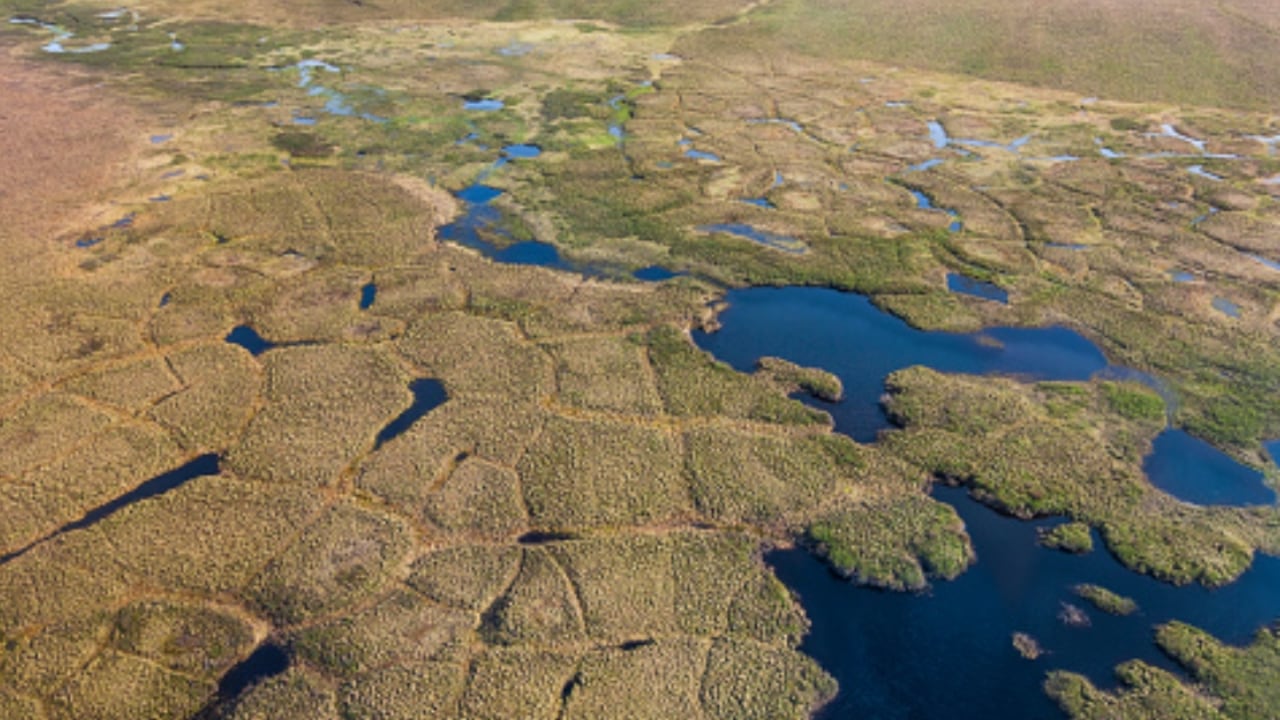 Durante miles de años, de forma permanente, el permafrost ha acumulado grandes cantidades de carbono orgánico, que también incluye múltiples virus.