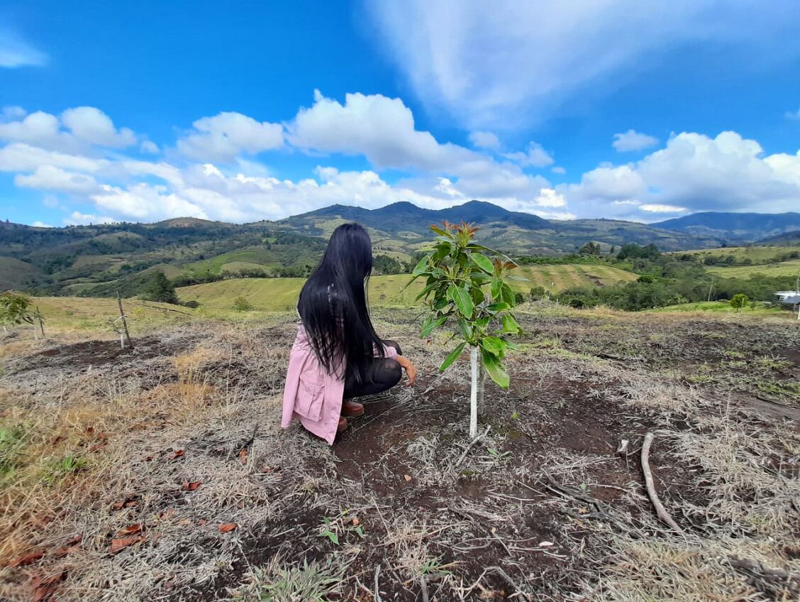 En la cooperativa Coomep, en Caldono, mujeres excombatientes cultivan esperanza Foto: WFP