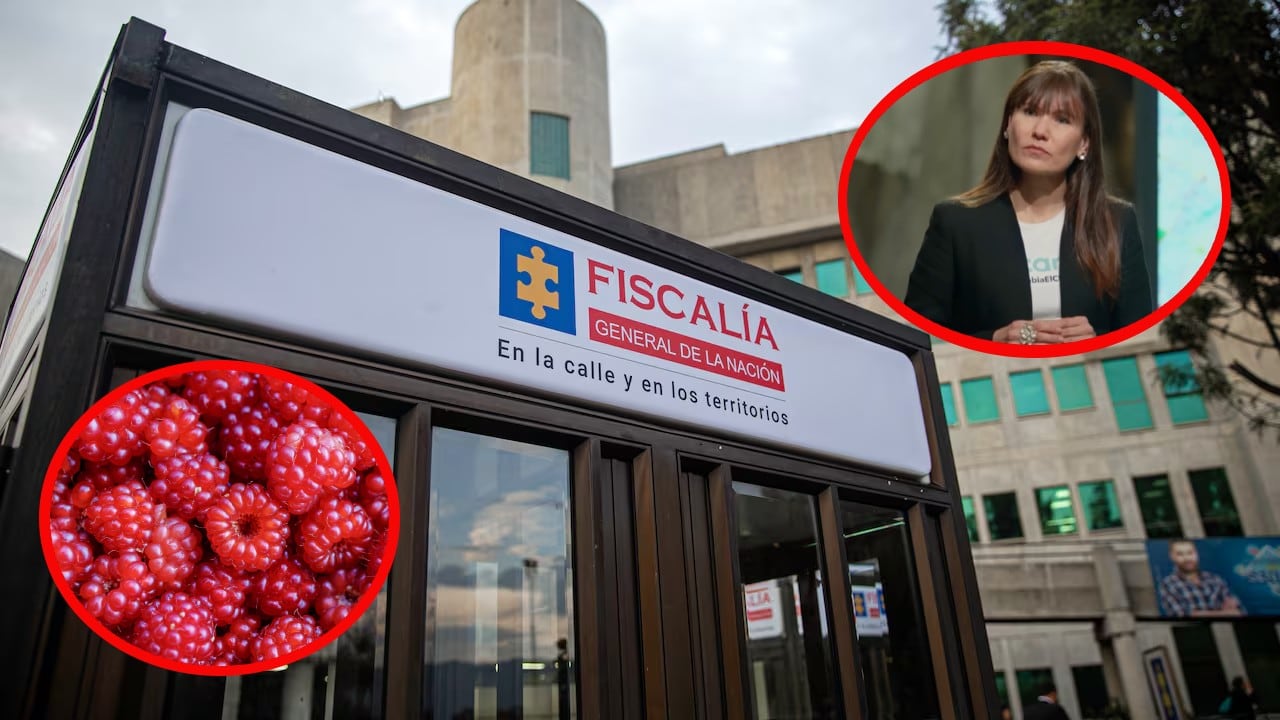 Este es el perfil de la implicada en la muerte por envenenamiento de dos menores de edad en Bogotá.