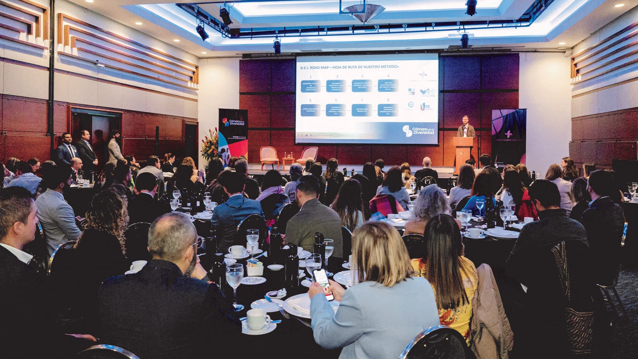 Especial Diversidad e Inclusión, Cámara de la Diversidad