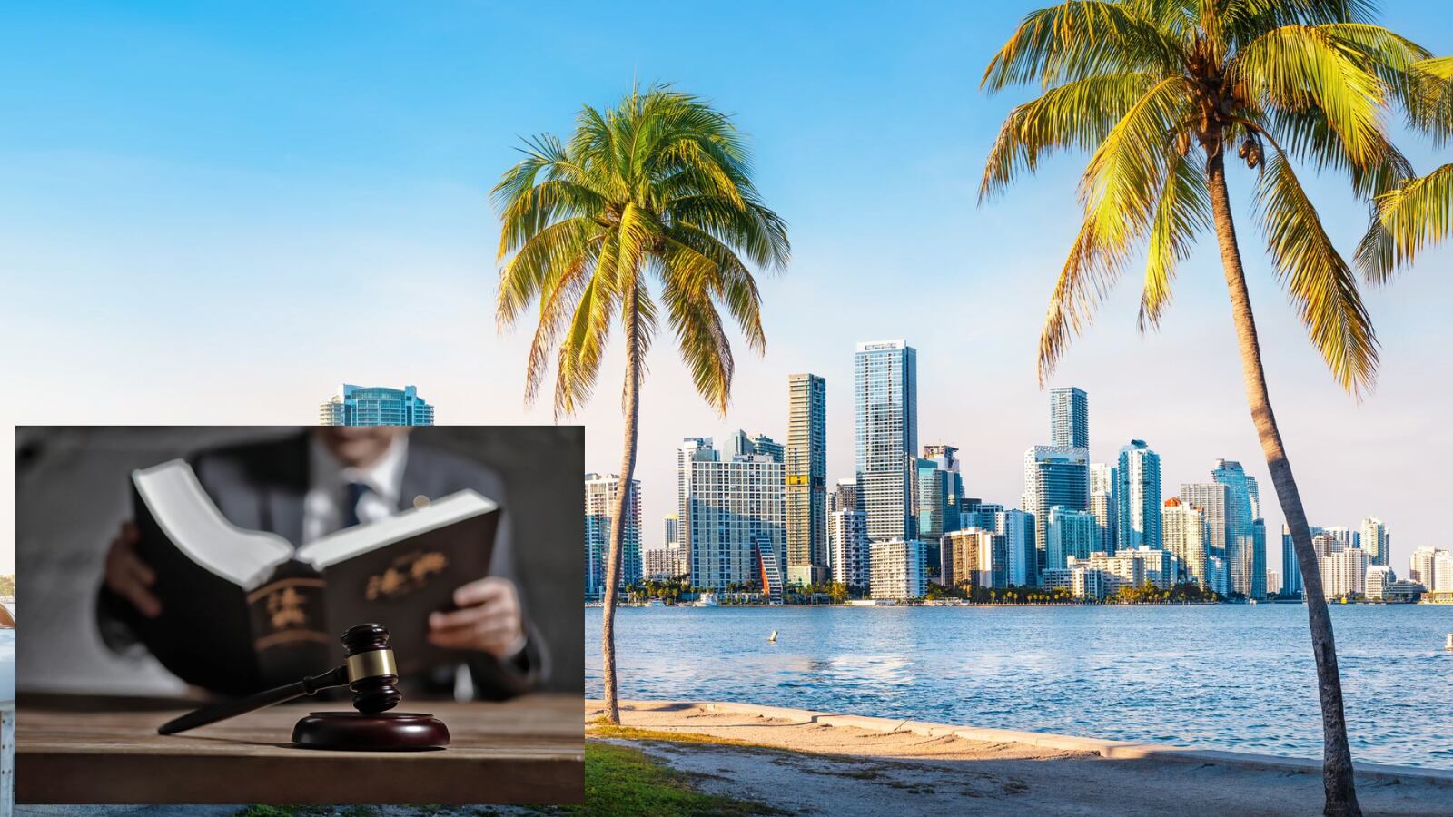 A partir del 1° de enero de 2026, cinco nuevas leyes entran en vigor en Florida, incluyendo reformas en seguros para mascotas, salud preventiva y protección contra la crueldad animal.