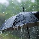 Las plagas que parecen en la época de lluvias.