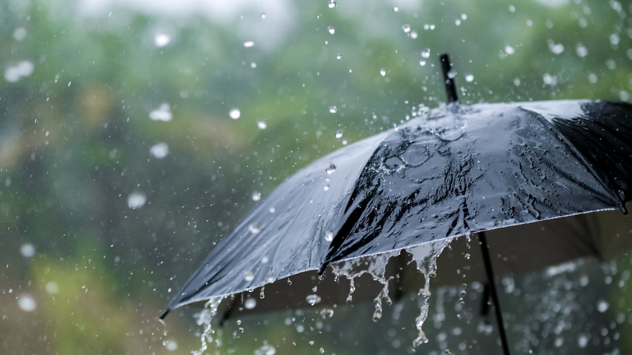 (Imagen de referencia).