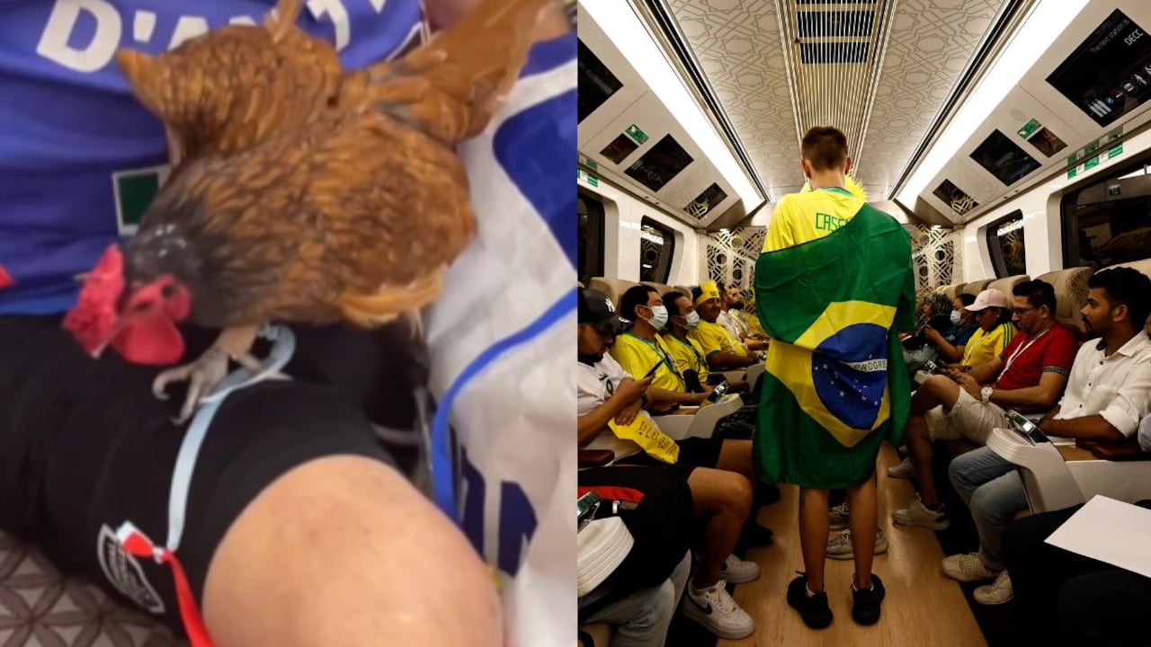 Gallo en el metro de Doha.