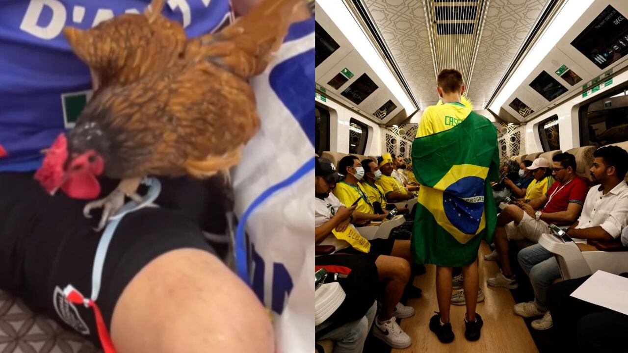 Gallo en el metro de Doha.
