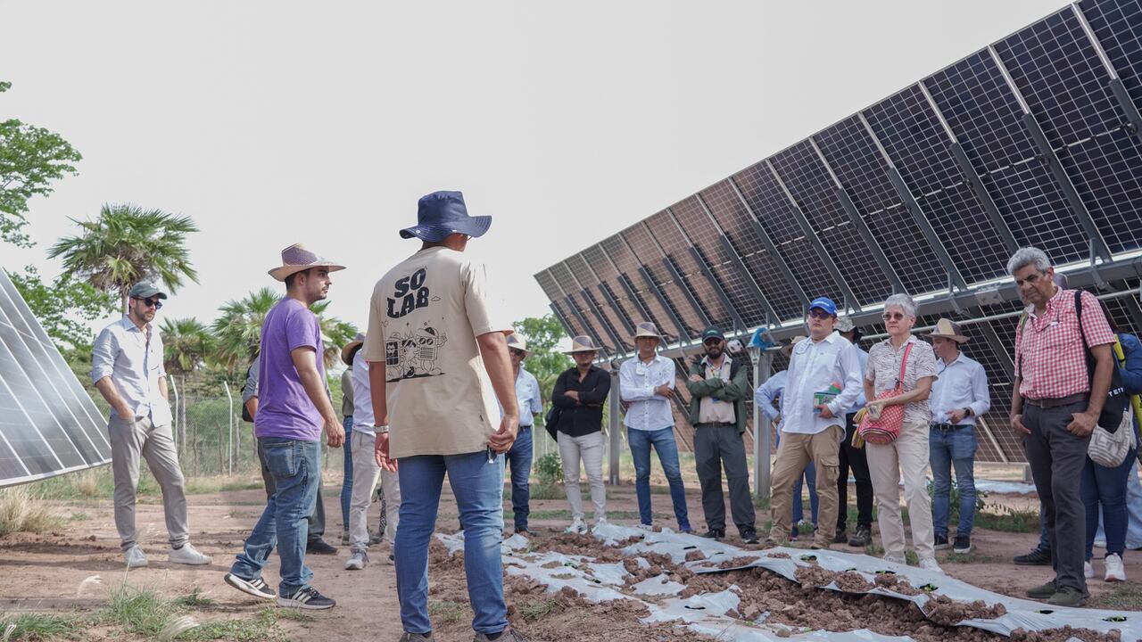 Estas minigranjas evitarán la emisión de 5.550 toneladas de CO₂ anuales, equivalentes al impacto ambiental de 6.450 árboles sembrados.