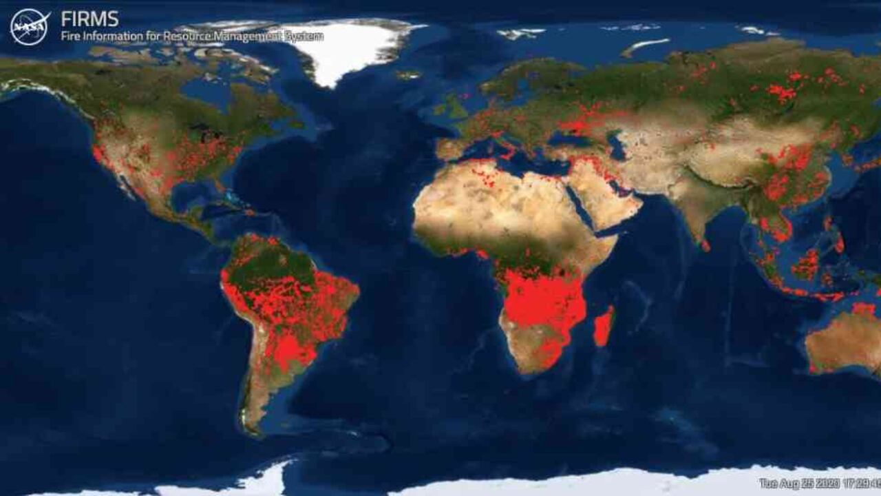 El mapa de la NASA muestra cómo avanzan los incendios en la Amazonia, África y Estados Unidos. Foto: Firms