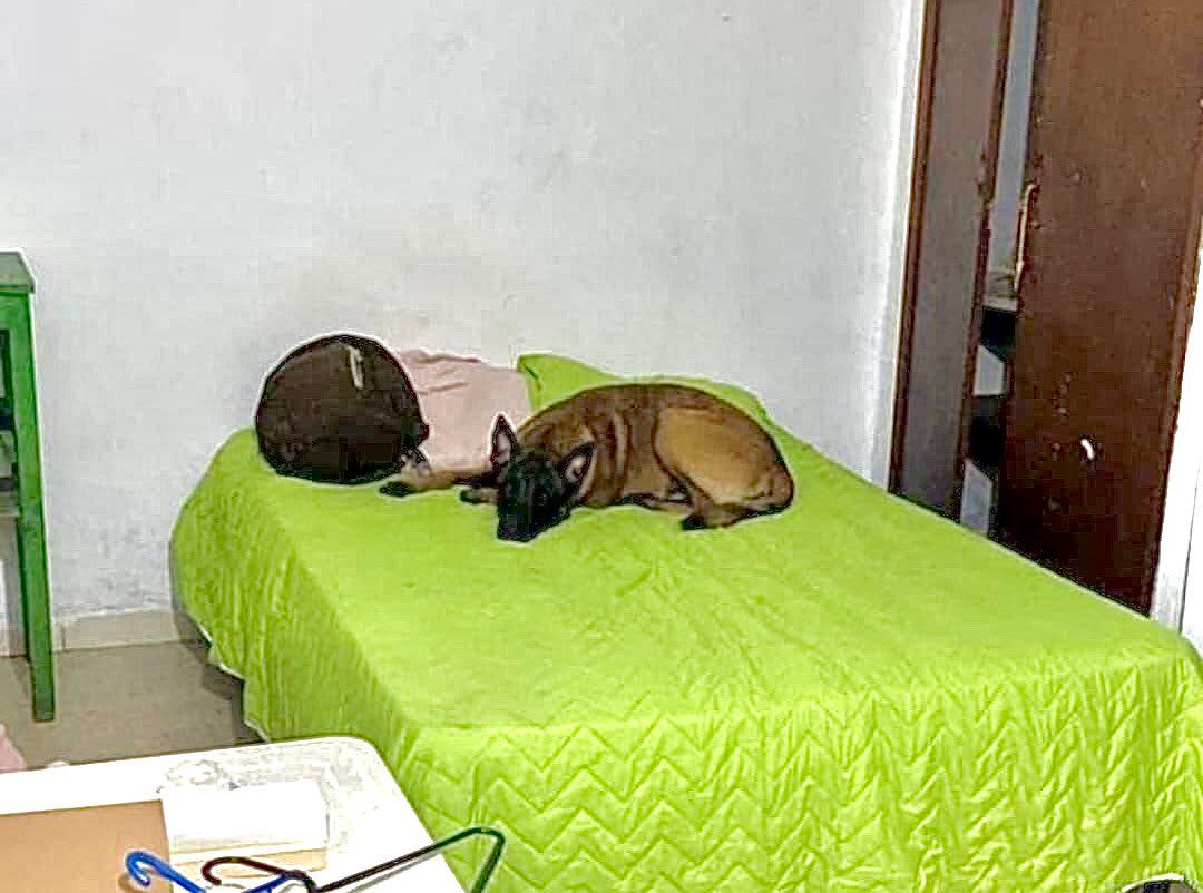 Esta es la historia de Hund y el subteniente Anderson Gómez.