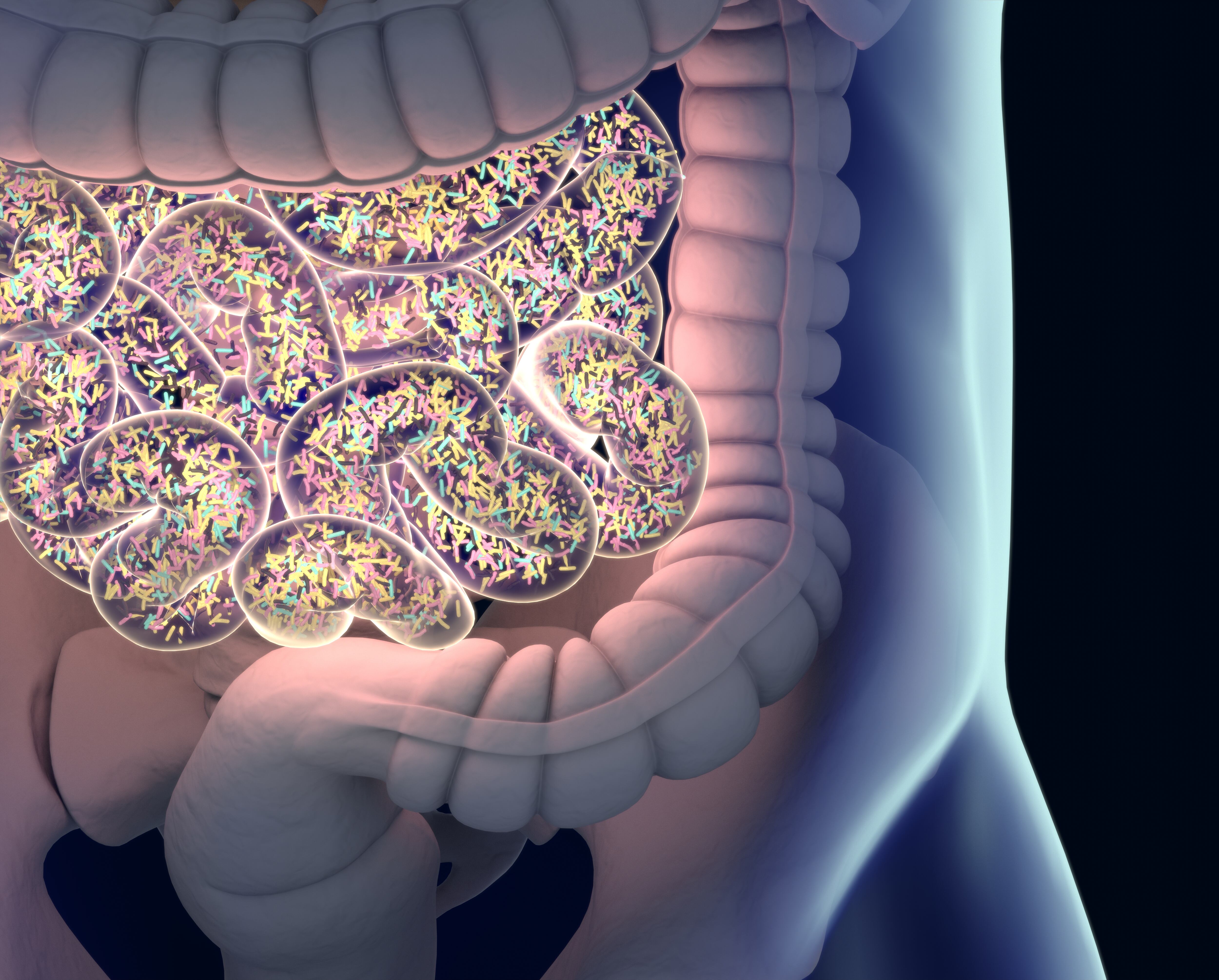 Un plan de alimentación saludable puede mejorar la microbiota intestinal.