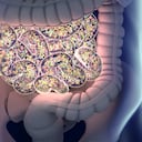 Un plan de alimentación saludable puede mejorar la microbiota intestinal.