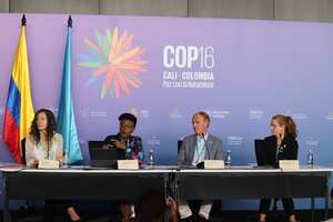 COP16 empresas