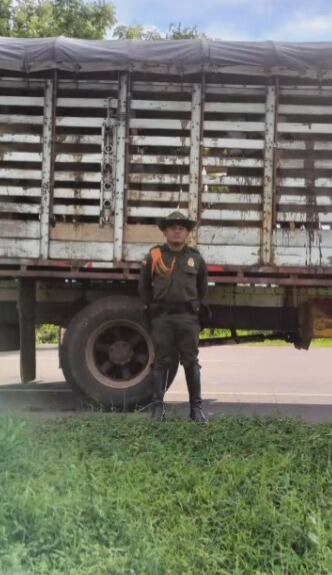 En el municipio Sabanalarga es donde más se registran casos de abigeato