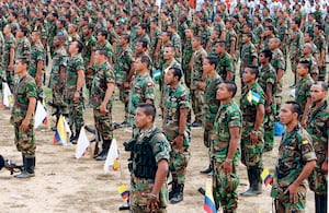 Los miles de combatientes del Clan del Golfo están esperando que se abran las zonas veredales para trasladarse a esos lugares, según lo establecido en los acuerdos de paz.